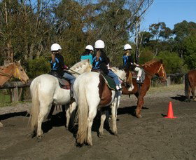 Darkes Forest Riding Ranch - Local Tourism 0