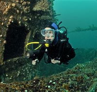 Ex-Hmas Adelaide Dive Site - Local Tourism