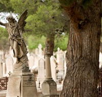 West Terrace Cemetery - Local Tourism