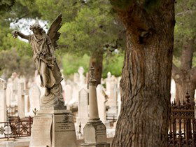 West Terrace Cemetery - Local Tourism 0