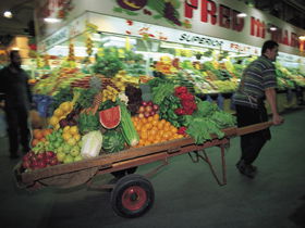 Gouger Street - Local Tourism 3