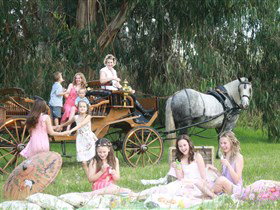 Classic Carriage Drives - Local Tourism 1