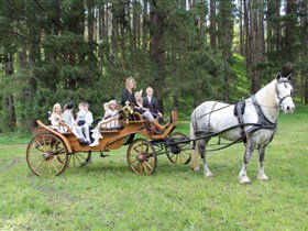 Classic Carriage Drives - Local Tourism 0