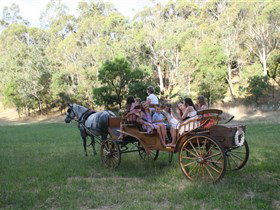 Classic Carriage Drives - Local Tourism 3