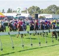 Morphettville Racecourse - Accommodation Australia