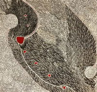 Marshall Arts - Accommodation Australia