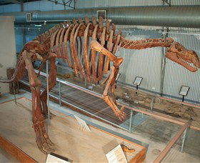 Flinders Discovery Centre - Accommodation Australia 1