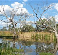Lagoon Creek - Local Tourism