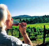 Ashton Hills Vineyard - Local Tourism