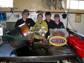 Melba's Chocolate And Confectionery Factory - Local Tourism 1