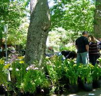 The Stirling Market - Local Tourism