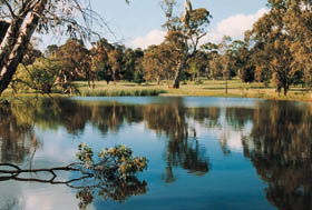 Echunga Golf Club Incorporated - Local Tourism 1