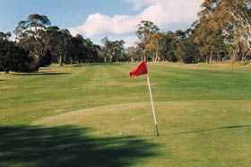 Echunga Golf Club Incorporated - Local Tourism 2