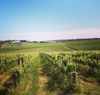 Adelaide Winemakers - Local Tourism