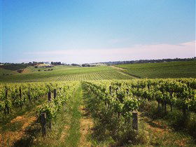 Adelaide Winemakers - Accommodation Australia 0