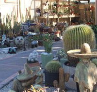 Cactus Creations - Local Tourism
