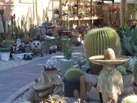 Cactus Creations - Local Tourism 0