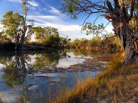 Murray River National Park - Local Tourism 0