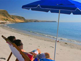 Lady Bay Beach - Accommodation Australia 0