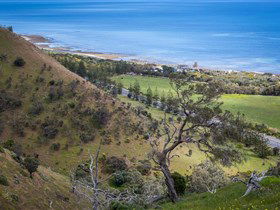 Lady Bay Beach - Accommodation Australia 1