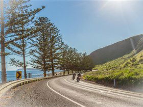 Lady Bay Beach - Accommodation Australia 2