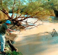Charleville - Ward River Fishing Spot - Local Tourism