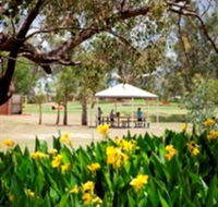 Charleville - Graham Andrews Parklands - Local Tourism