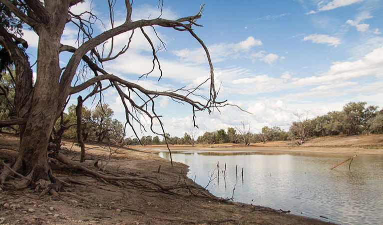 Hungerford NSW Accommodation Australia