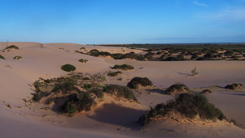 Mungo National Park - Australia Shopping 2