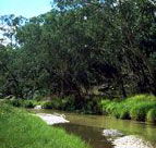 Salvator Rosa Section - Carnarvon National Park - Accommodation Australia