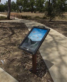 Wallam Creek, Bollon - Accommodation Australia 1
