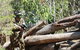 United Paintball - thumb 1