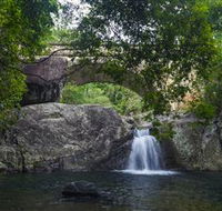 Paluma and Crystal Creek Rainforest - Local Tourism