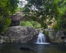 Paluma And Crystal Creek Rainforest - Local Tourism 0