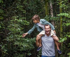 Paluma And Crystal Creek Rainforest - Local Tourism 1