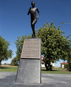 Railway Park Dirranbandi - Accommodation Australia 1