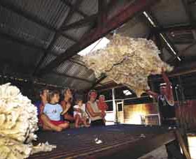 Shear Outback The Australian Shearers Hall Of Fame - Accommodation Australia 0