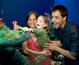 Museum Of Tropical Queensland - Local Tourism 2
