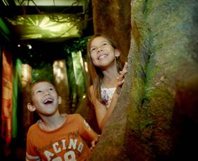 Museum Of Tropical Queensland - Local Tourism 1