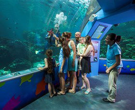Reef HQ Aquarium - Local Tourism 2