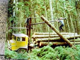 Nangwarry Forestry And Logging Museum - Accommodation Australia 3