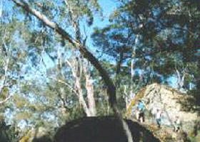 Dorodong ACT Accommodation Australia