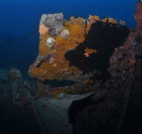 Lady Bowen Dive Site - Accommodation Australia