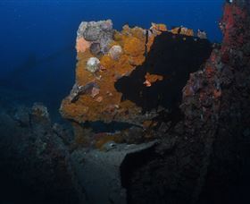 Lady Bowen Dive Site - Local Tourism 0