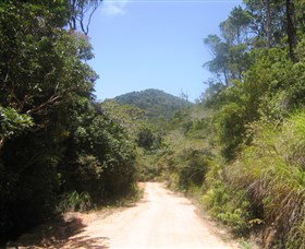 Mount Lewis National Park - Accommodation Australia 2