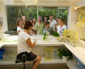 Australian Butterfly Sanctuary - Accommodation Australia 3