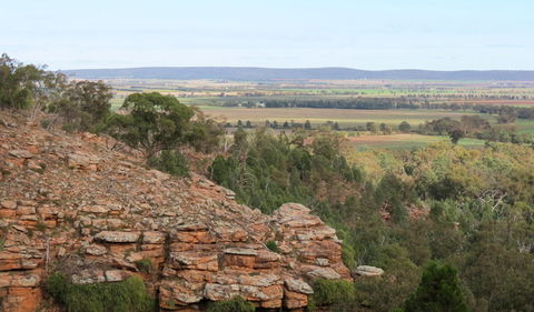 Jacks Creek Walking Track - Local Tourism 0