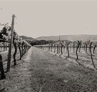 Halls Gap Estate - Accommodation Australia