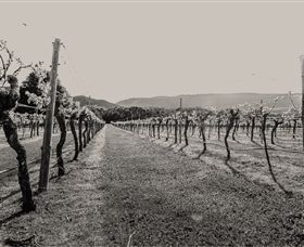 Halls Gap Estate - Accommodation Australia 0