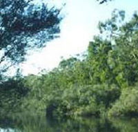Crawford River Regional Park - Accommodation Australia